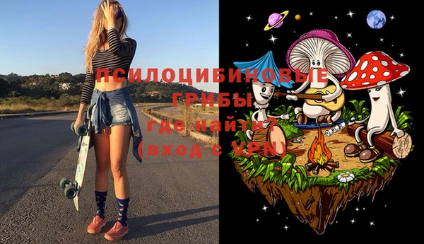 мет Аркадак